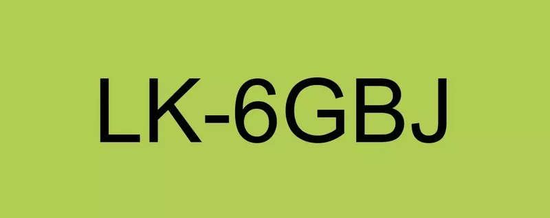 EPSON LK-6GBJ MATTE TAPE GREEN/BLACK 24MM (8M)
