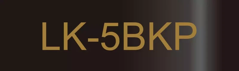 EPSON LK-5BKP METALLIC TAPE BLACK/GOLD 18MM (9M)