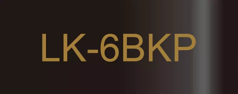 EPSON LK-6BKP METALLIC TAPE BLACK/GOLD 24MM (9M)