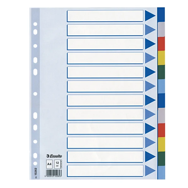 Separatori A4 PPL 12 Tasti Colorati Foratura Universale per Raccoglitori - Esselte