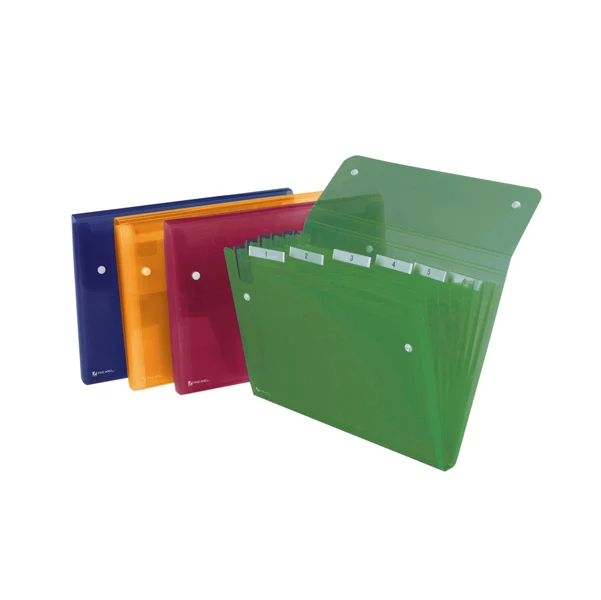 Cartella a Soffietto Ice 6 e 13 Tasche Polipropilene Traslucido per Ufficio e Scuola - Rexel