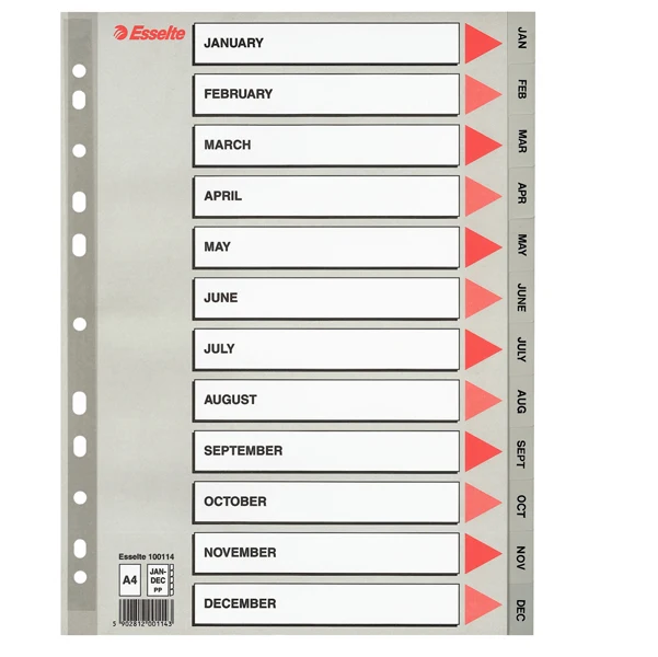 Separatori A4 PPL Grigio Mensili e Numerici 115 Micron 3 Varianti - Esselte