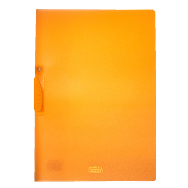 Cartelline con Molla Laterale Trasparenti 5 Colori Conf. 10 pz - Fellowes