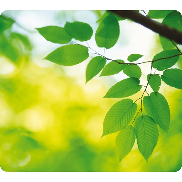 Mouse Pad Earth Series Eco 95% Riciclato 2 Varianti - Fellowes