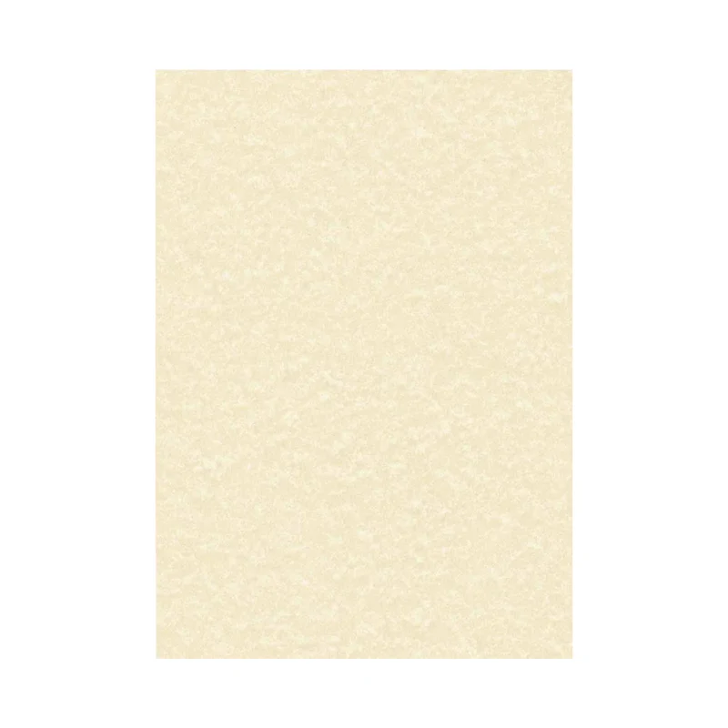 Decadry Parchment A4 Letterhead Paper 95gsm Champagne (Pack of 100) PCL1601