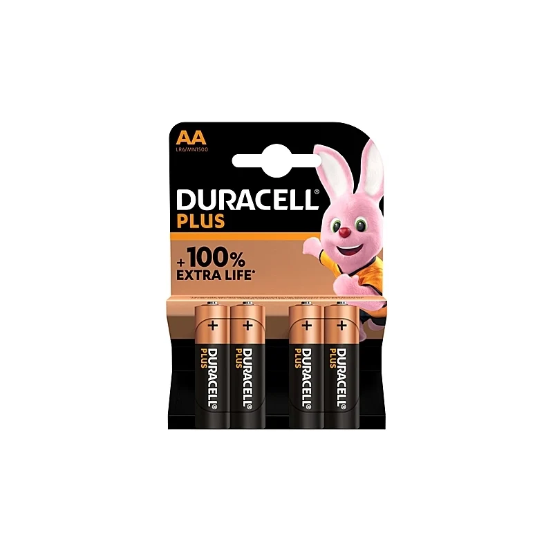 Batterie stilo AA Plus 100