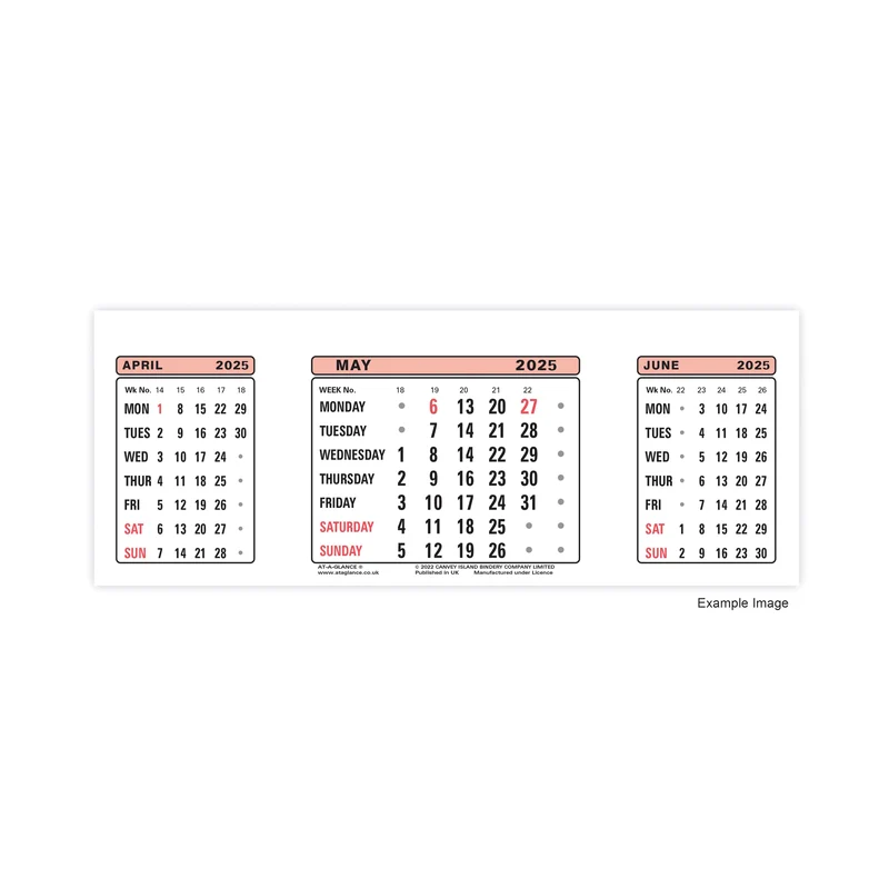At-A-Glance Calendar Refill 2025 3SR25